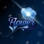 Ikona serwera Craftflower.pl